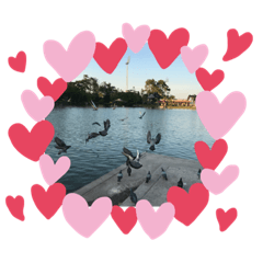 CatSouvenir - Bird Island