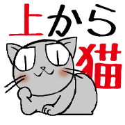 Arrogant Cats