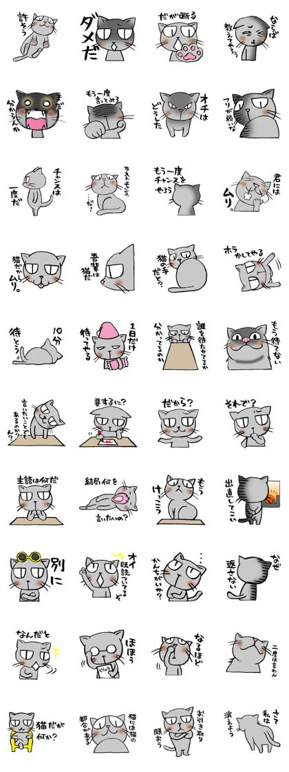 Arrogant Cats