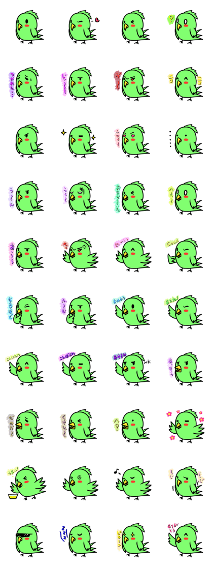 Parakeet kotoko