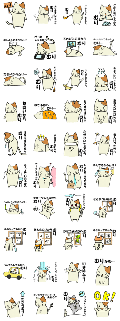 Impossible cat