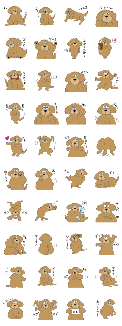 Funy poodle like of human.