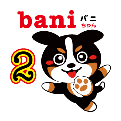 三毛犬バニちゃん-2