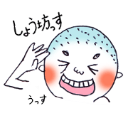 Shobo chan