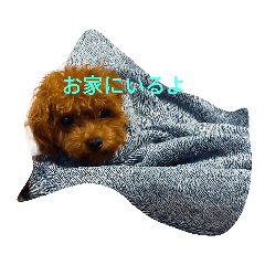 suzu001