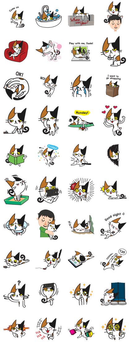 Meow Mao