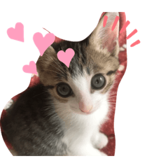 yamada_20191217224408