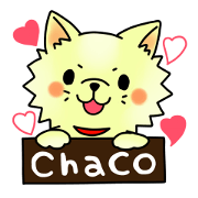 Pomeranian"chaco"