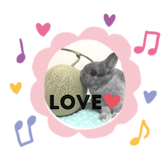 my sweet sweet bunny