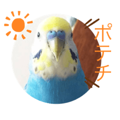 yamada_20191218002547