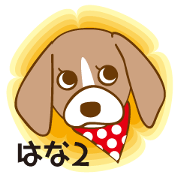 CAPRICIOUS BEAGLE DOG HANA 2