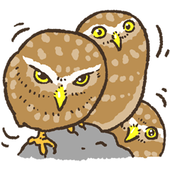 Raptors sticker (Owl,Eagle,Hawk,etc.)