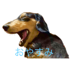 gjaw