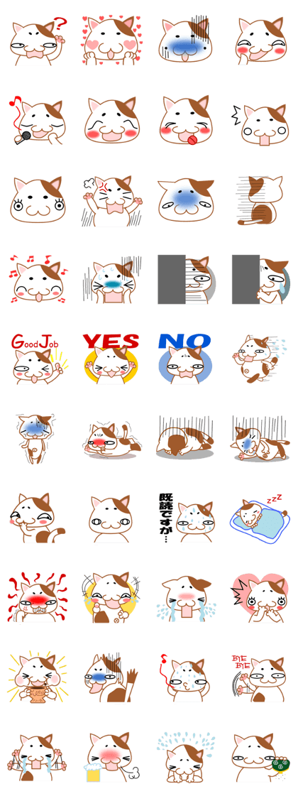 plain-looking cat Sticker