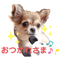 seira_20191218110707