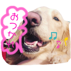 riku.z