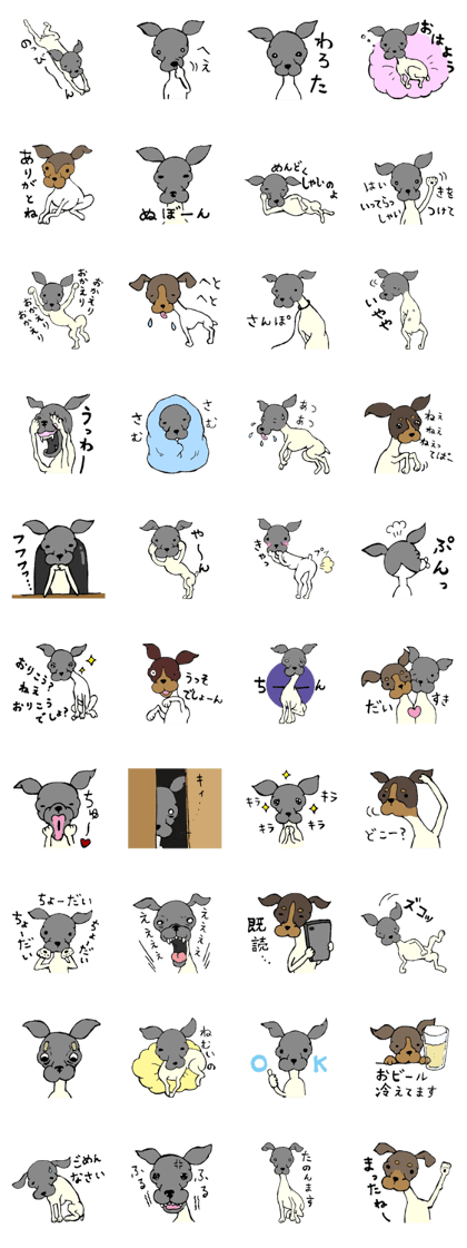 JapaneseTerrier..NipponTerrier festival!