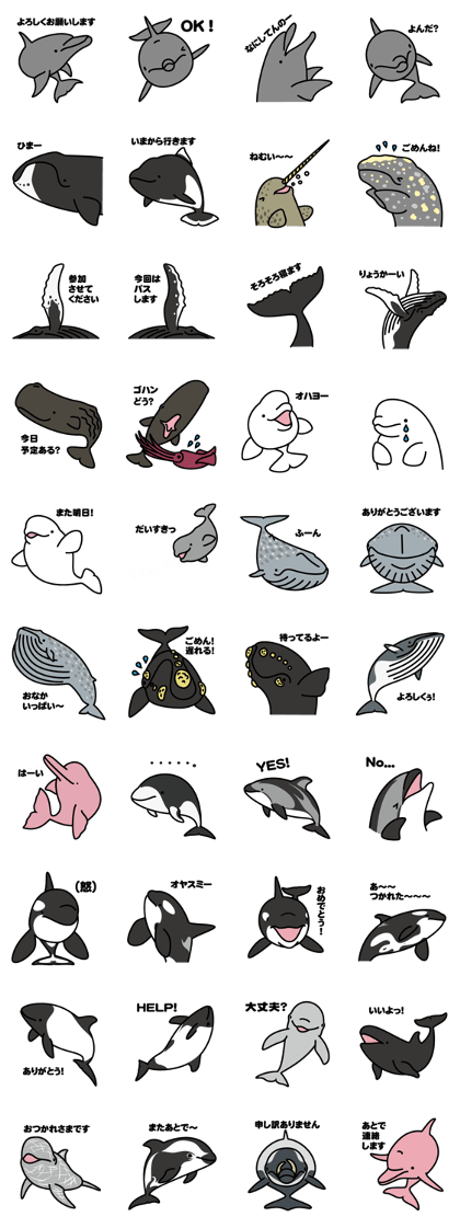 Whales & Dolphins around the world