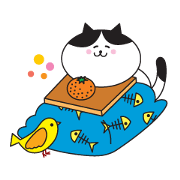 Great every day of a lovely cat.