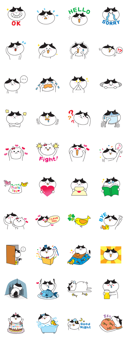 Great every day of a lovely cat.