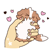 Small Collie