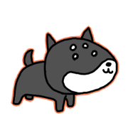 Pico is small Shiba