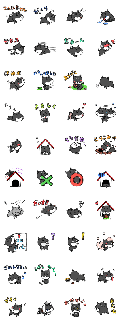 Pico is small Shiba
