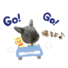 うちの子シリーズ 『うさぎのここちゃん』