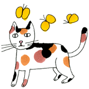 Funny Cats Various