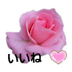 hana_20191218154353