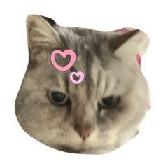 nozomiw_20191218153835