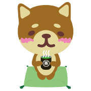 Lovely Shiba Inu