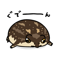 カエルスタンプ アメフクラガエルさん Line スタンプ Line Store カエルスタンプ アメフクラガエルさん Line スタンプ Line Store