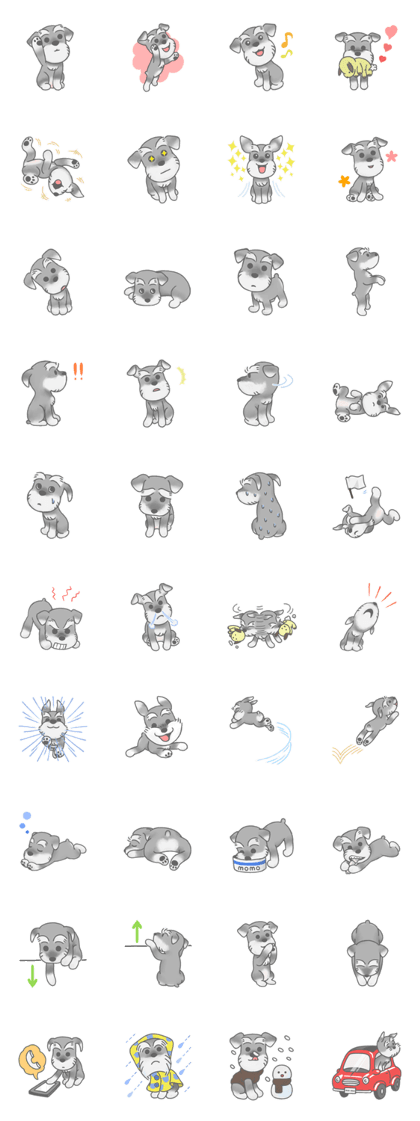 Schnauzer's feelings