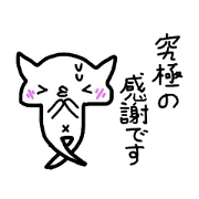 All-around cat