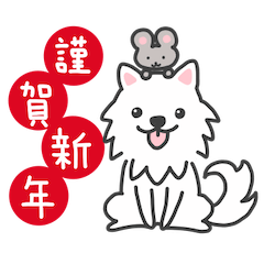Japanese Spitz for New Year 2020