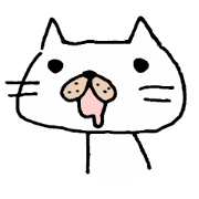 Jom the cat