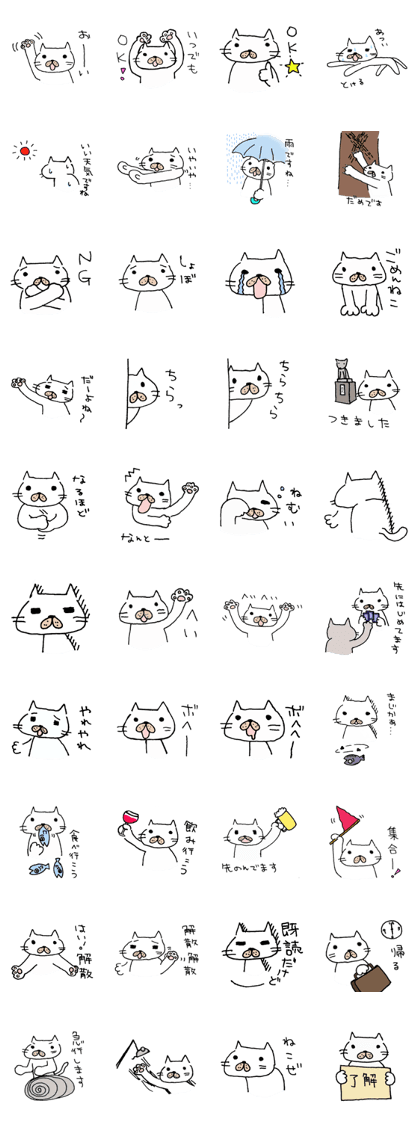 Jom the cat