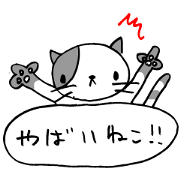 CAT CAN TELL