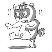 White reccoon