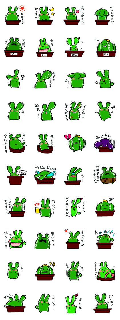 Bunny Cactus