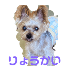 junko_20191218205919