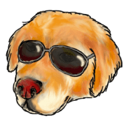 The Golden Retriever