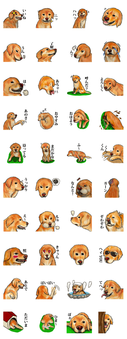 The Golden Retriever