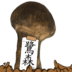 松茸研究家鷺森さんのマツタケ