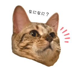 yukari_20191218195029