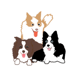 ボーダーコリー犬 Line スタンプ Line Store