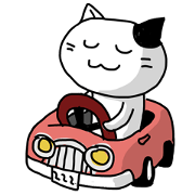 Daily of white cat