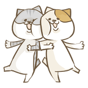 Cat Day2
