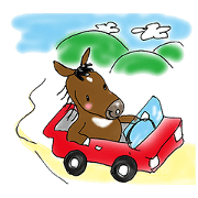 pinto horse Yura